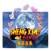 Sheng Xiao Bingo